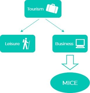 MICE Graphic